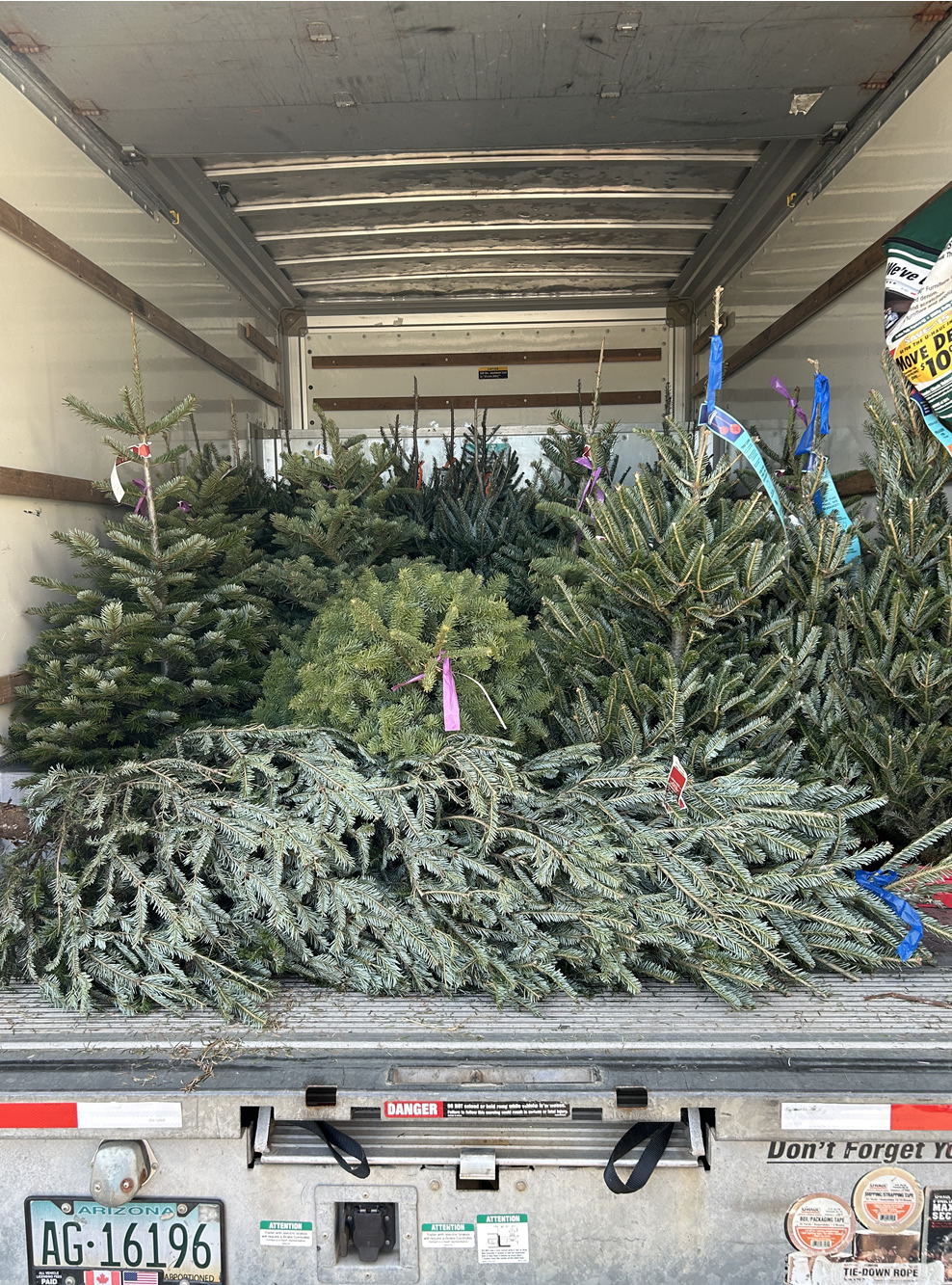 Trees loaded